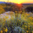 카존(주) 이미지