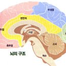 동아월드