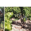 향기가득 이미지