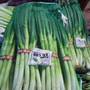 차칸푸드 - 원주시 | 차칸푸드