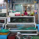 21호재진이네 이미지