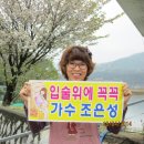 비들지낚시터 이미지