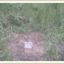 큰산어린이집 이미지