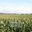 광동농장 이미지