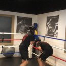 레드짐 복싱클럽 이미지