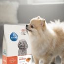 주식회사이롬 | 저알러지 사료 고민 끝, 피니키 가수분해 연어 사료와 수제간식 후기