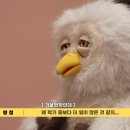 딩동댕 - 철원군 금학로210번길 7-7 | 딩동댕