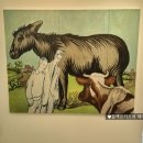 대전유아사 이미지