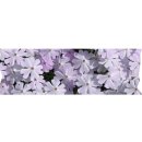 미락한식 이미지