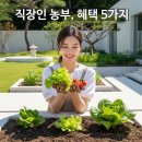경용농장 네이버블로그