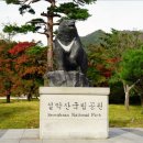 더테라피 이미지
