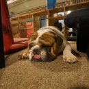 방콕노래연습장 이미지