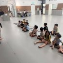 티포스태권도장 네이버블로그