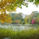 오크랜드 이미지