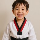 꿈을 향한 힘찬 태권도 이미지