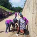 본오로1길 이미지