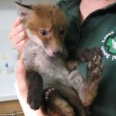 씻겨줄개 이미지