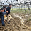 대동농협하나로마트 이미지