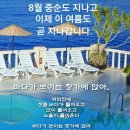 방하착
