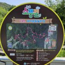 원주굽이길 3코스 회촌달맞이길 | 20250601 덕가산(원주)