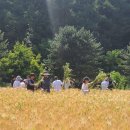 서울자유발도르프학교 이미지