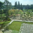 칠보농협옹동지소 | [정읍] 신상 대형 카페 "이리옷 카페"