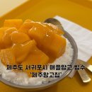 제주집 | 제주도 서귀포시 애플망고 망고빙수 맛집 ‘제주망고집’ 내돈내산 후기