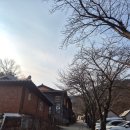 탁영정 | 강화도 뜨끈뜨끈한 구들장 찜질방~훈제로 초벌해주는 삼겹살이 꿀맛!!