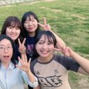 팀솔루션 이미지
