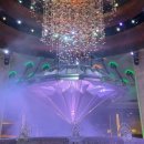 쇼 부 | 마카오호텔 무료 쇼 공연 TOP5 종류 시간 일정 총정리 및 후기