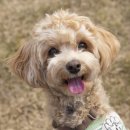 2024-주217 이미지