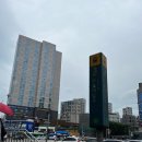 자마이카휘트니스 이미지