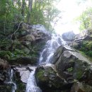 노고단-12 이미지