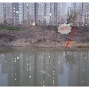 장산배수장 이미지