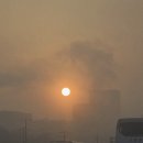 간선-46 | 23번째 도전, 조치원 자이아파트 첫 지방 입찰 후기