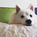 빙수네민박 이미지