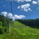 탄금힐링레포츠파크 (옥외1) | 용평리조트 패키지로 1박 2일 힐링 데이트 떠나기_준비!