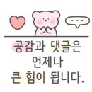 둔산중로32번길 이미지