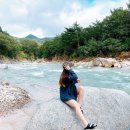 수봉야영장 이미지