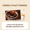 캐나다 워홀 첫 1주일 완벽 가이드 (2026 최신ver.) 📝 이미지