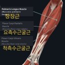 공감휘트니스 이미지