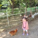 달구지농원 이미지