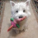 말랑말랑 이미지