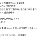 김이박투 이미지