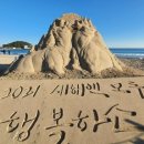 황금비단 이미지