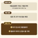 보듬몰