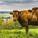 인제행정사사무소 이미지