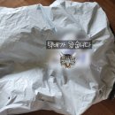 함께하는 | 귀여운것들과 함께하는 '알리깡' 후기!