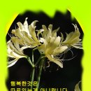 바보오리농장 이미지