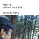 푸른새벽캠프장 이미지